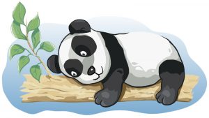 Ogólnopolski Konkurs Przedmiotowy EDI/ Panda