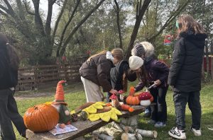 Wycieczka klas 4 do Zagrody Alpak