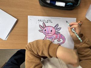 Najdziwniejsze zwierzę świata