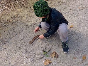 Drzewo do samego nieba